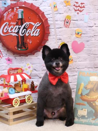 20230916チョビくん